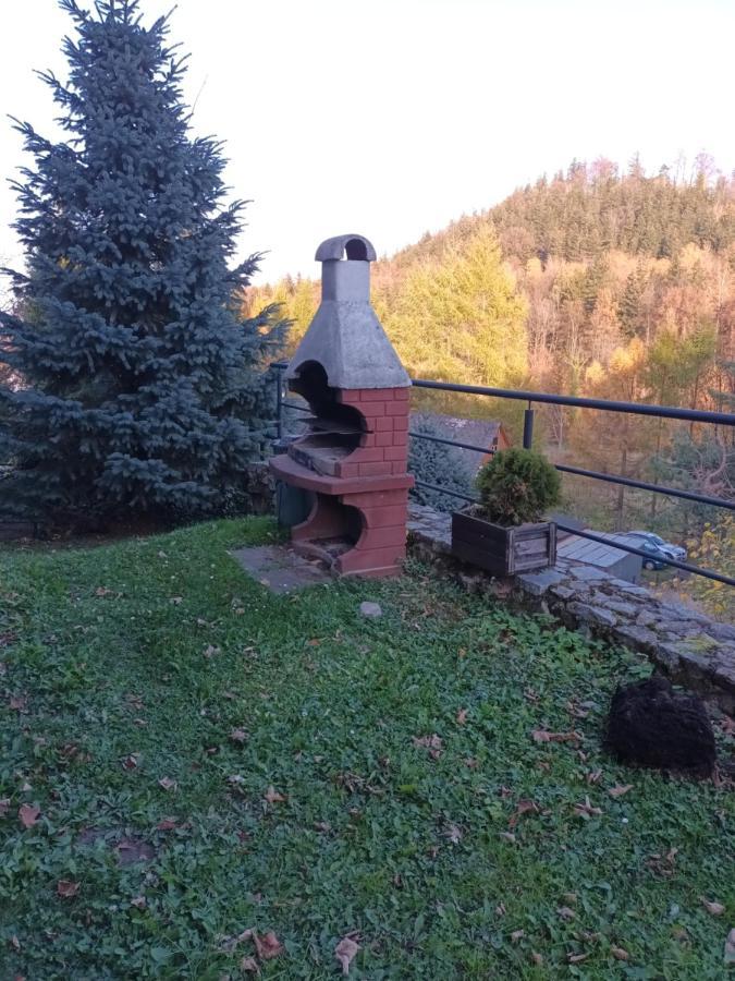 Villa Marcela Karpacz Exteriör bild